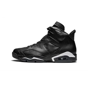 Air Jordan 6 Retro "Black Cat" 384664 020