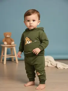 Spring Autumn Baby Boys Cartoon Print Hooded Fleece Sweatshirt and Pants Set, Cute Two-Piece, Toddler Casual Wear, Baby Boy Clothes
