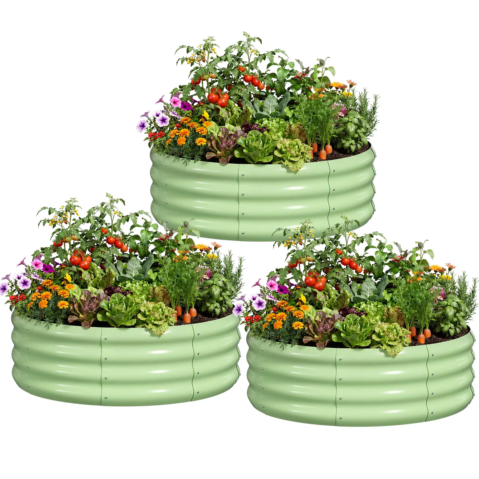 Green - 35.5" × 12"(without Cages)