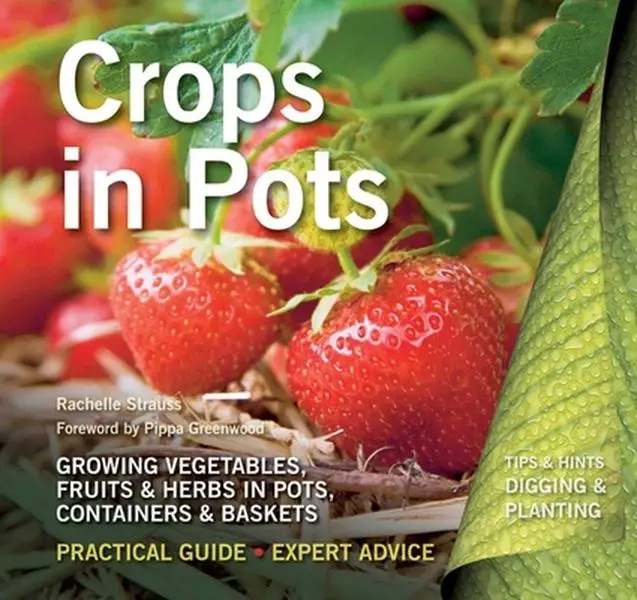 USED-Crops in Pots: Practical Guide, Expert Advice by Strauss, Rachelle (Paperback)