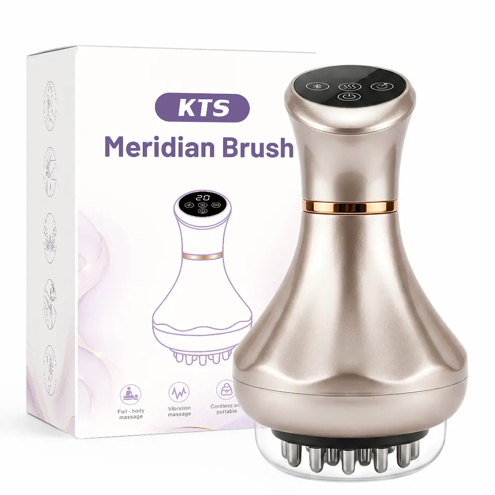 Portable Meridian Massage Brush, Handheld Body Care Tool with Red Light, Heat, Vibration, Digital Display and 9 Adjustable Levels