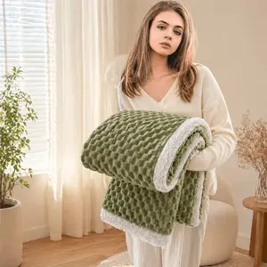 Double Layer Thick Bed Blanket, New Gold Turtle Velvet, Reversible Warm Fluffy Waffle Design, Multi-Color Choices