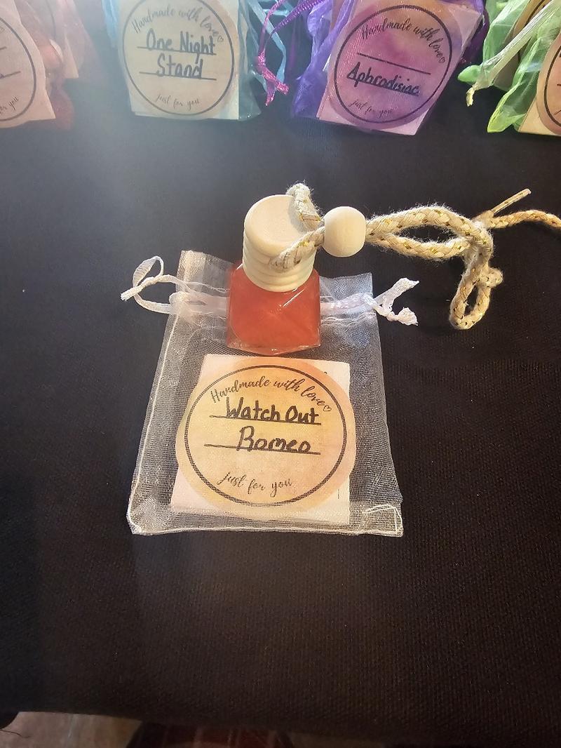 Simply Gemuine Festive Christmas Premium Long Lasting Car Diffusers with a Wide Selection of Unique Scents to Choose From