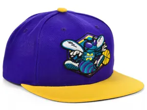 Mitchell & Ness Prpl/Yllow NBA Charlotte Hornets HWC Core Basic Snapback