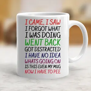 I Came I Saw I Forgot Funny Novelty Coffee Mug,Mother's Day Gift, Father's Day Gift, Birthday Gift, Christmas Gift, Graduation Gift, Retirement Gift,Christmas Gift, Birthday Present, Office Mug,Thanksgiving Table, New Year Resolution