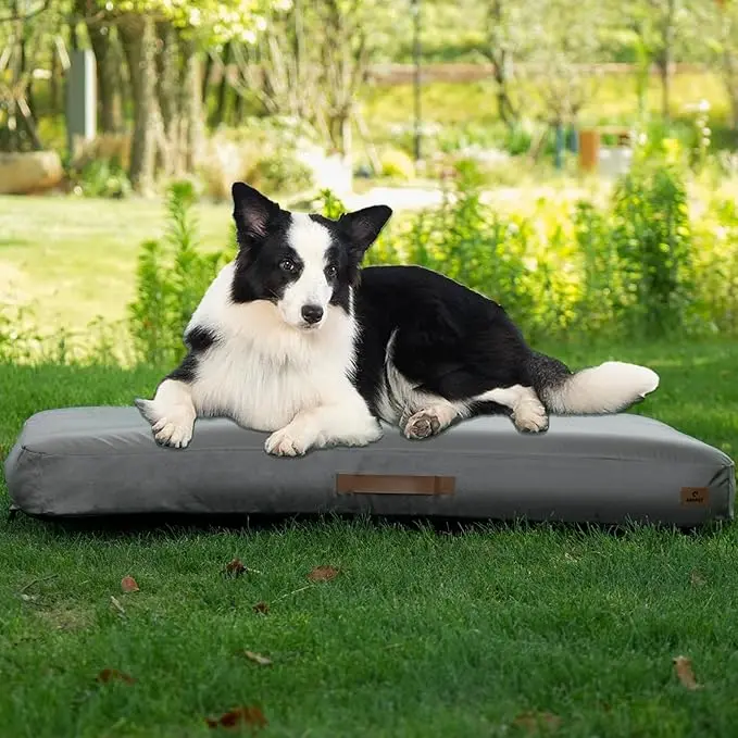 Outdoor Inflatable Dog Bed, Waterproof Elevated Travel Pet Bed with Removable Washable Cover, Non-Slip Sleeping Mat for Medium Dogs, Camping & Outdoor Use