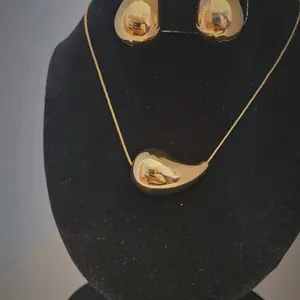 Earing drop and necklace set, Daily