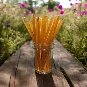 TMG Honey Sticks Pure Raw Wildflower Honey - Individually portioned honey sticks filled with pure raw wildflower honey; convenient natural sweetener perfect for tea, snacks, travel, and quick energy