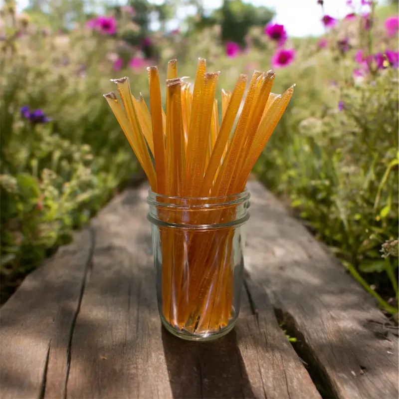 TMG Honey Sticks Pure Raw Wildflower Honey - Individually portioned honey sticks filled with pure raw wildflower honey; convenient natural sweetener perfect for tea, snacks, travel, and quick energy