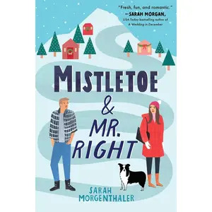 Mistletoe and Mr. Right: An slow-burn Christmas romcom in Alaska (Moose Springs, Alaska, 2) Paperback