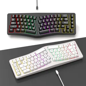 Ergonomic wired 69-key compact keyboard with separate key sections, comfortable and portable, suitable for desktop and laptop use, translucent gaming RGB backlight, ideal for home and office use, with laser-engraved characters Wireless Gasket Screen