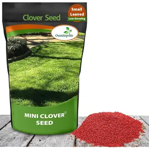 Outsidepride Perennial White MiniClover Seed - 1/4 lb. Dwarf, Small-Leaved, Drought & Wear-Tolerant Micro Clover Seeds for Lawn, Ideal Low-Maintenance & Easy to Grow Ground Cover Seeds for Home Yard