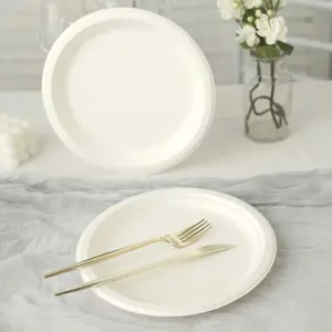 50-Pack Bagasse 9" Round Dinner Plates in White Biodegradable - Biodegradable Disposable Sugarcane Party Plates for Outdoor Celebrations & Picnics