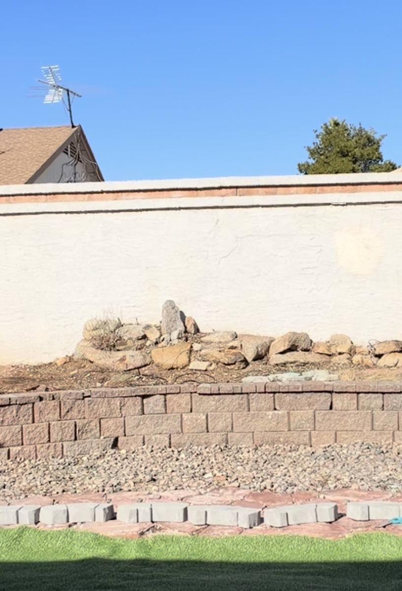 Item: 2pcs, 21-Head Boston Fern