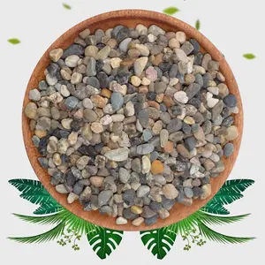 2lbs 1/5 Inch Pea Gravel Decorative River Rocks for Aquarium Succulent Cactus Plant Vase Fillers Soil Cover and Outdoor Landscaping Stones