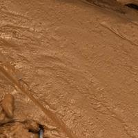 Toasted Almond - CB03