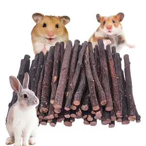 500g Apple Sticks Small Animals Wooden Pet Chew Treats Toys for Guinea Pigs Hamsters Rabbits Chinchillas Squirrels Small Animal Molar Wood Treats Toys
