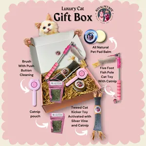 Luxury Cat Box Gift Set with Organically Grown Catnip Toys & More