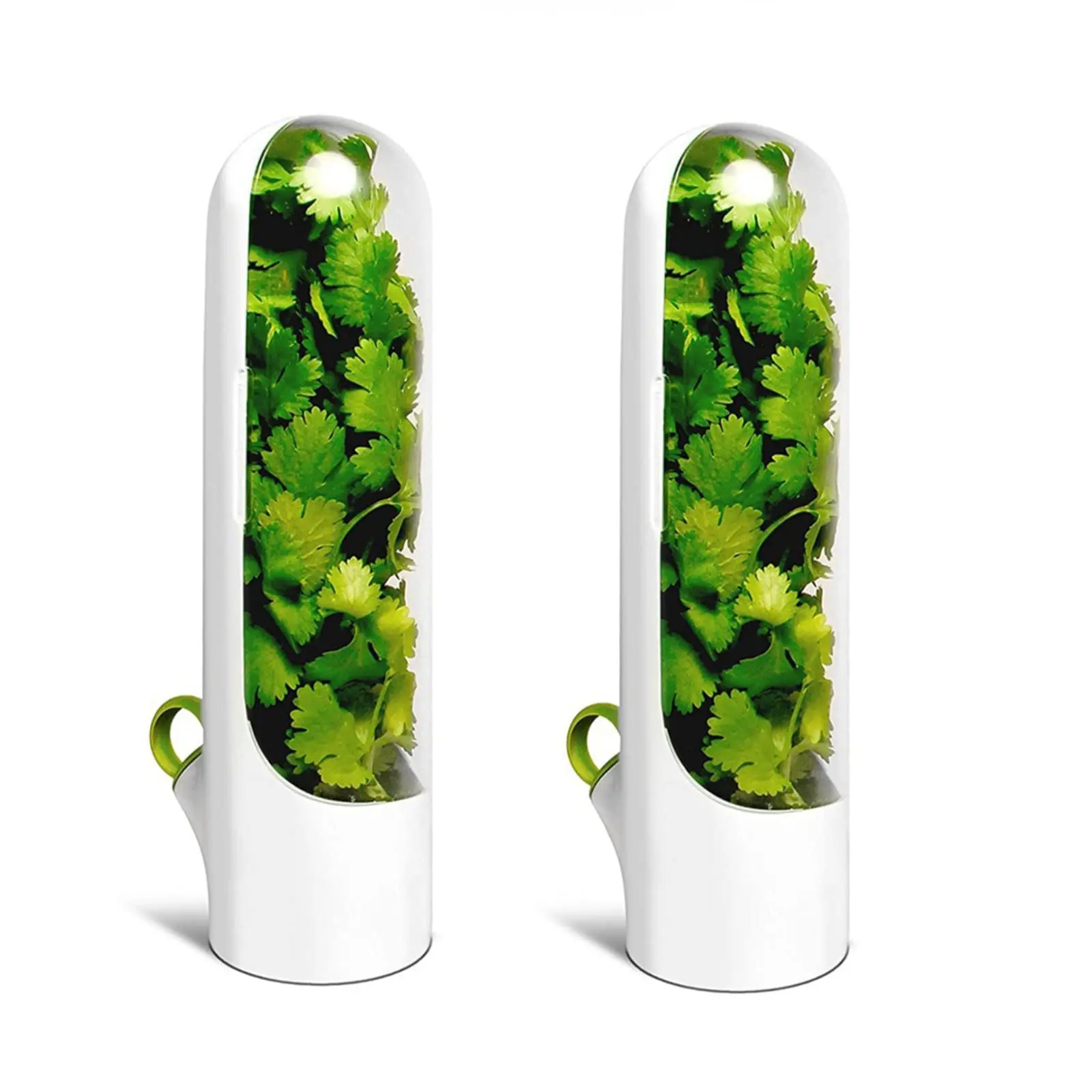 Herb Preservation Container, Practical Design, Fresh-Keeping & Storage, for Refrigerator Vegetable Herb, Ideal Kitchen Accessory, Food Storage Container, Preserving Containers