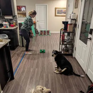 Golf Chipping Cornhole Set - 20 Velcro Balls, Putting Mat, Putter and Carrying Bag - Target Games for Golfers, Fathers, Indoor Outdoor Backyard