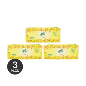 BREEZE 3-Ply Facial Tissues, 100 Sheets per Pack, Soft & Strong, Bulk Pack of 3