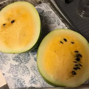 Organic Petite Yellow Watermelon Seeds (Citrullus lanatus) – Small, Sweet, Yellow-Fleshed Variety, Perfect for Individual Servings – 10+ Seeds