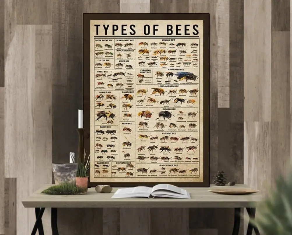 Type Of Bee Poster No Frame, Bees Poster