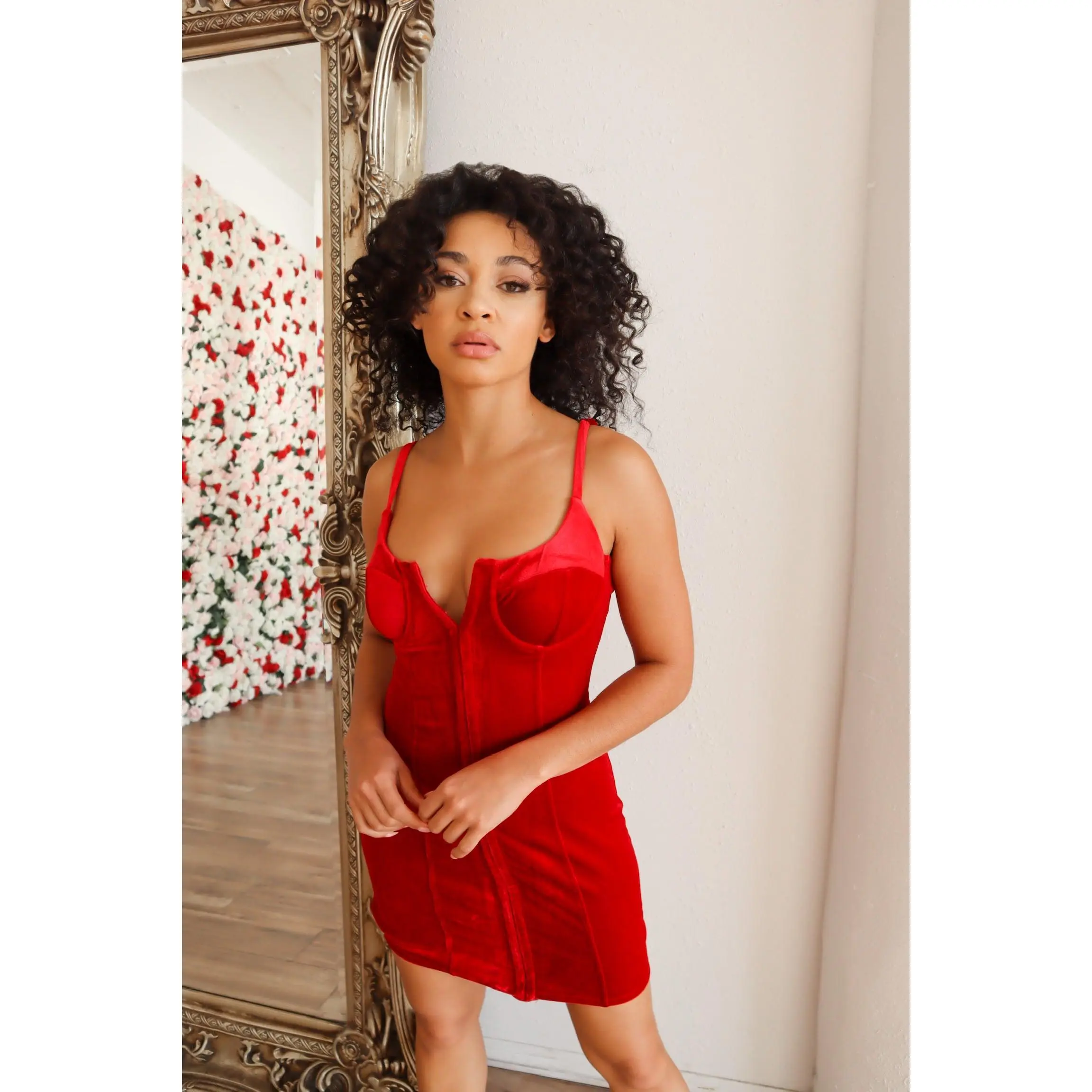 Tiana Corset Mini Dress (Burgundy)