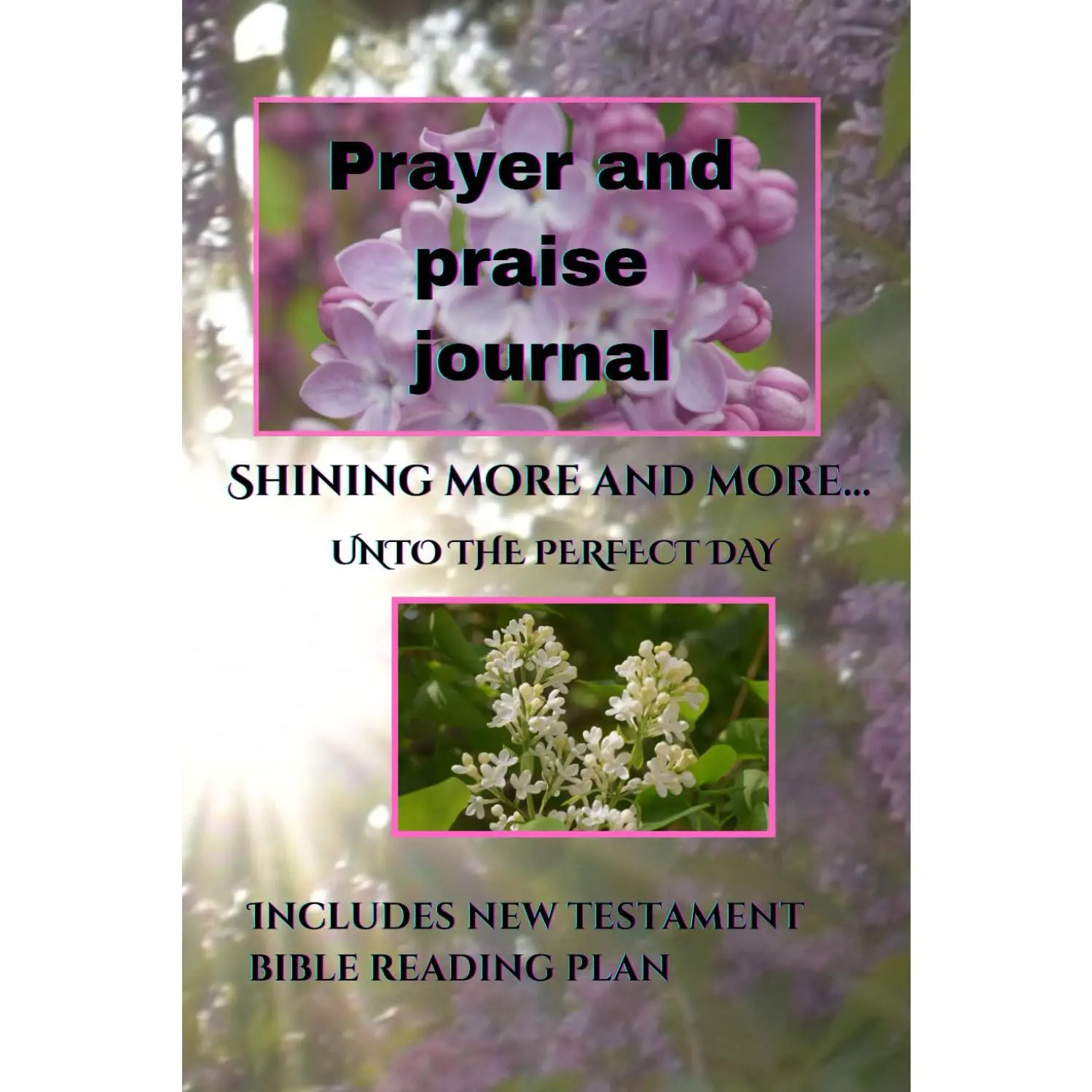 Prayer and Praise Journal: Shining More and More...