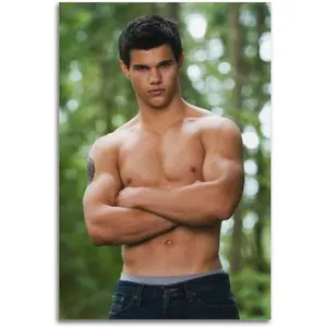 Taylor Lautner Vintage Poster Art Print Wall Photo Paint Hanging Picture Family Bedroom Decor Gift