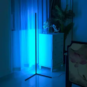 Smart Rgbic Floor Lamp with APP & Music Sync, 16m Custom Colors LED Corner Light Atmosphere Lighting, Ideal for Bedroom & Living Room, Perfect Home Decor Gift