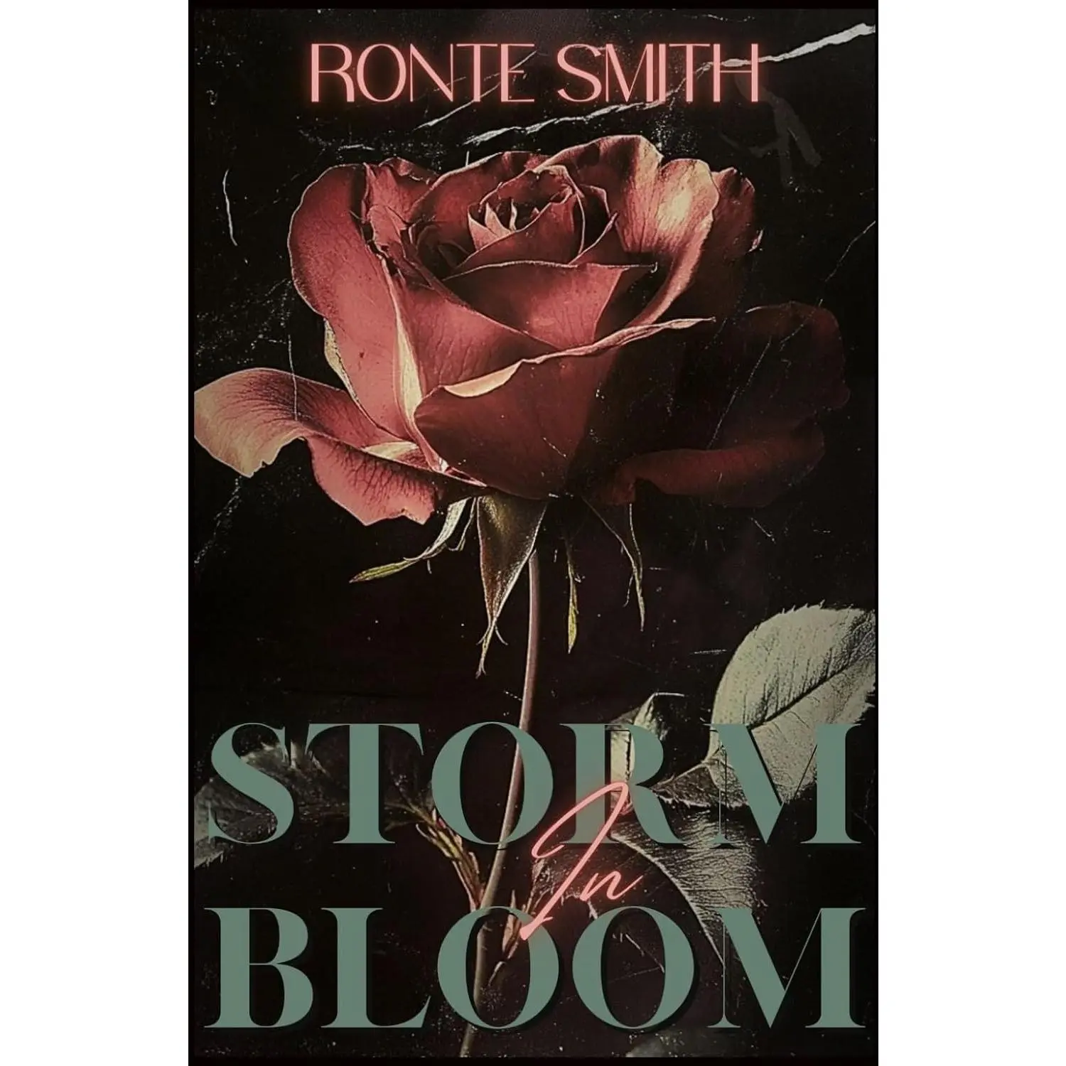 Storm In Bloom - Romantic Suspense Novel for Fiction Readers