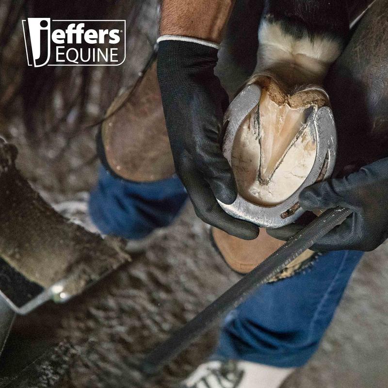 Jeffers Tanged Steel Hoof Rasp – Durable 10" & 14" Rasp for Horses, Ponies, Minis, Goats, and Sheep