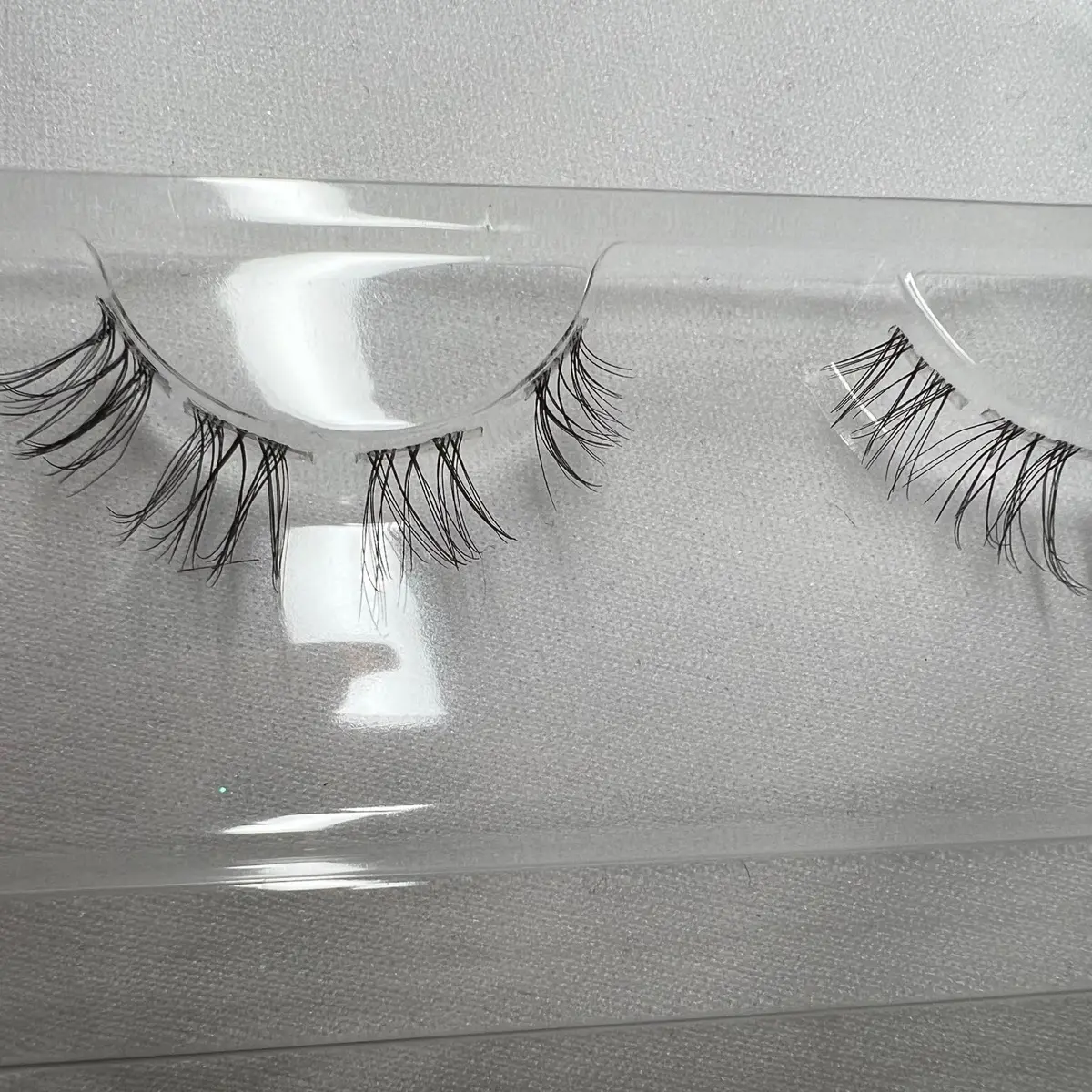 Kasual Kitten (lash segments)