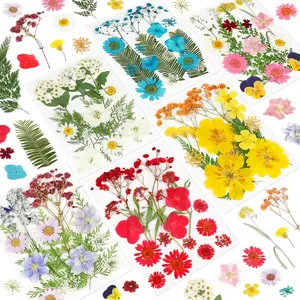 Dried Pressed Flowers for Resin, 103pcs Real Nature Dried Flowers for Crafts Bulk Dry Flowers Leaves Kit Used for Resin Molds Scrapbooking DIY Art Crafts Candle Soap Making Nails Décor