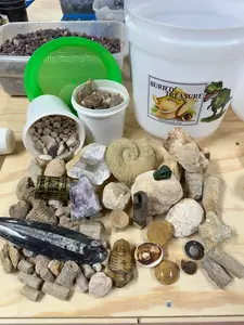 2 GALLON T-REX -  FOSSIL AND NATURAL CRYSTAL MINING BUCKET