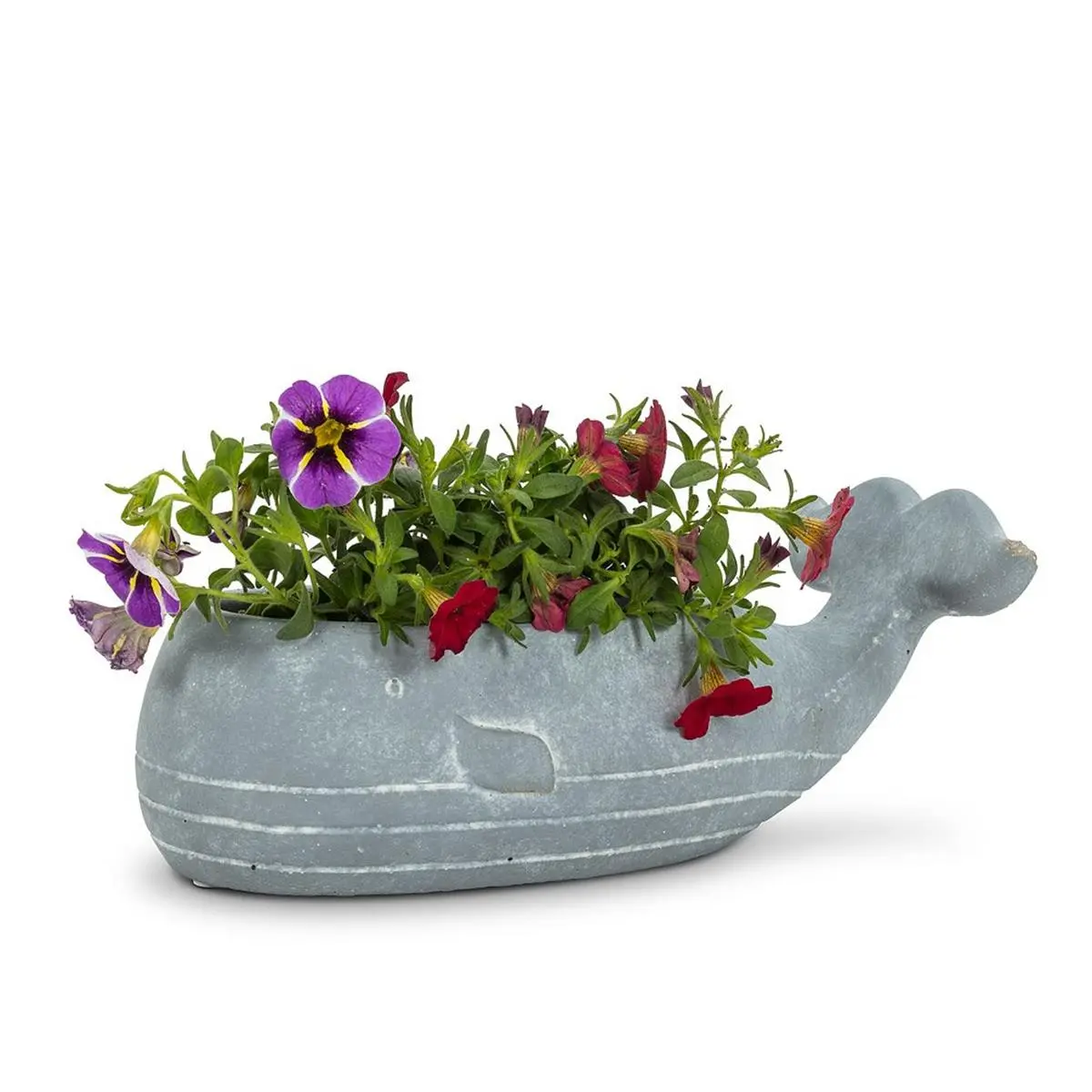Abbott Collections AB-27-BALEEN-SM 8 in. Whale Low Planter, Blue Grey - Small