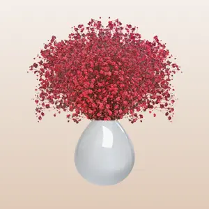 Baby's Breath Red Tinted Gypsophila 8 Stems per Bunch 250g 8-10 Day Vase Life 25 Inch Stem Length for Flower Arrangements