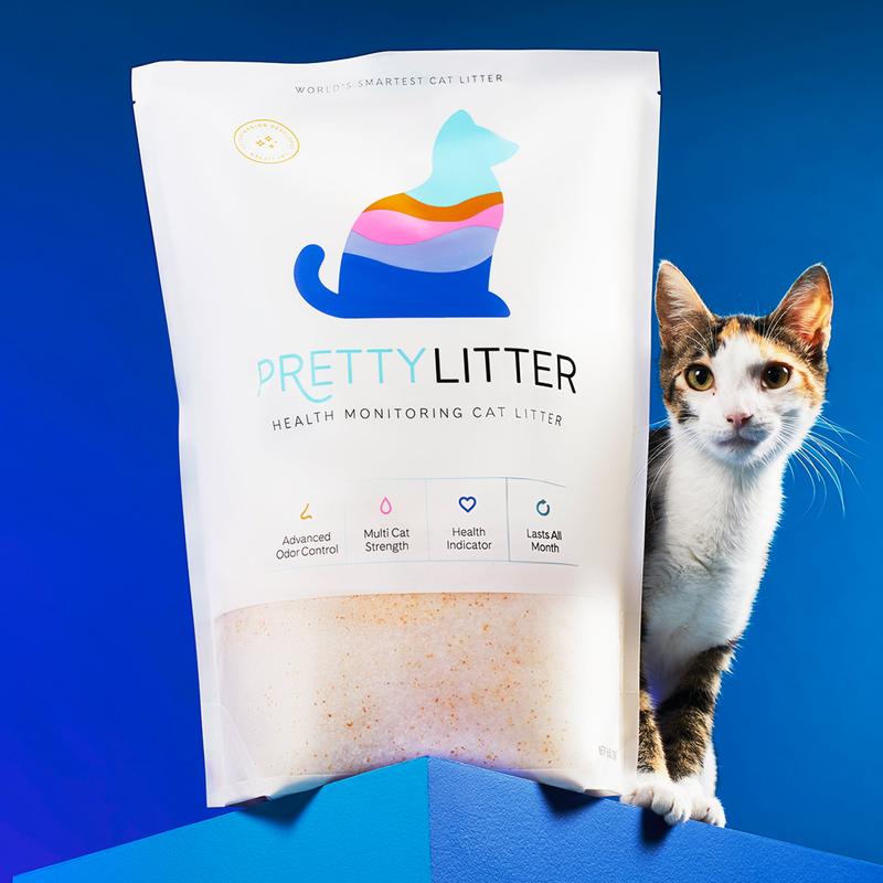 PrettyLitter Original Unscented Cat Litter, 6lb - TikTok Shop