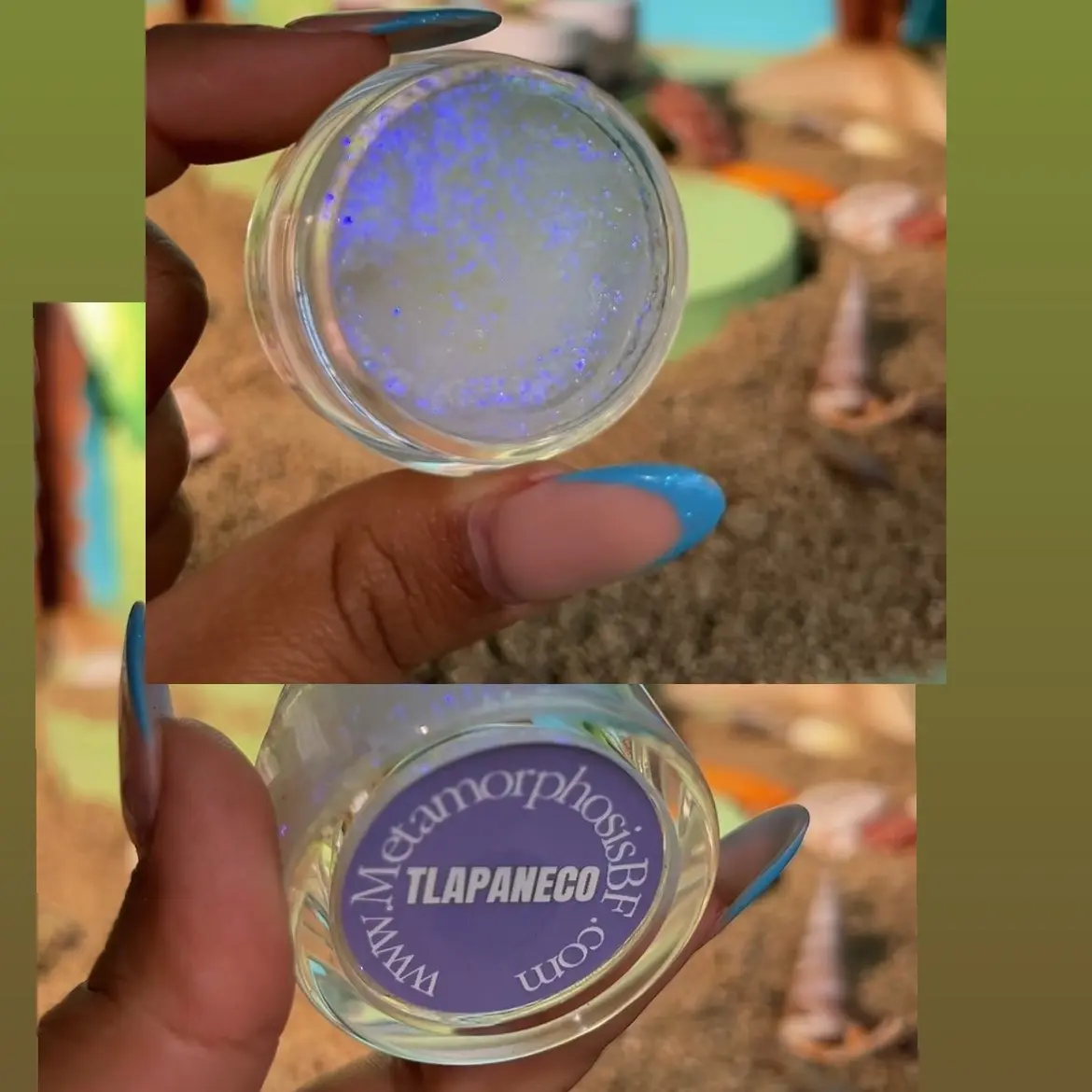 Tlapaneco