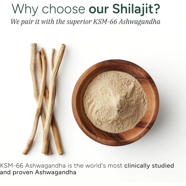 Root Labs Alpha Gummies | 4000 mg Pure Himalayan Shilajit | 60 Gummies