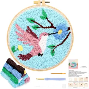 Punch  Kit for Beginners,  Punch  Embroidery Starter Kit for Adult  with Bird , DIY Craft   Rug Beginners Kit with Tool for  Decor