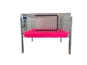 All Things Bunnies Single Cavy Cage 24"x24"x12"