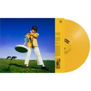 Declan McKenna - What Happened To The Beach?  [VINYL RECORD - LP] Colored Vinyl, Yellow, Indie Exclusive