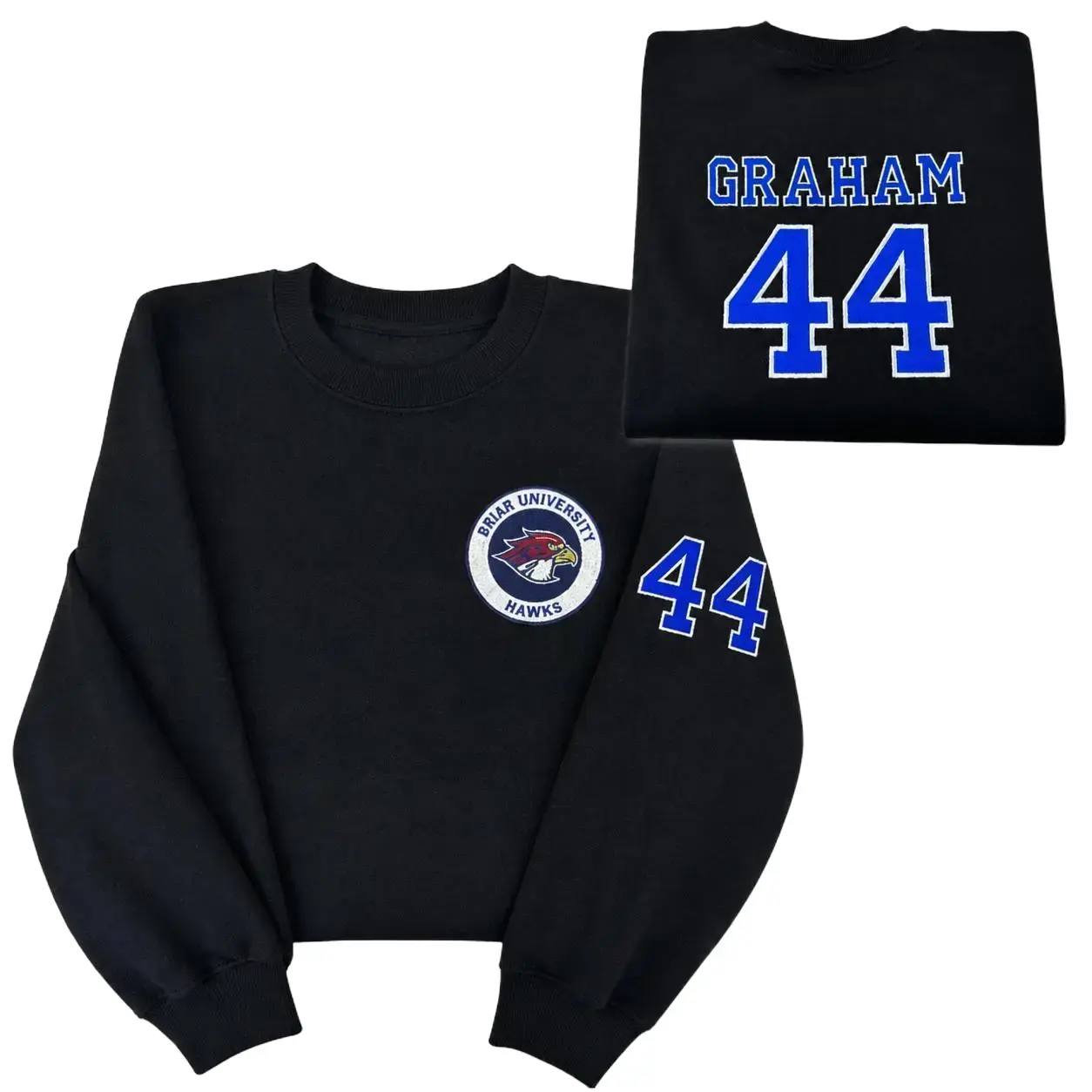 Custom Briar University Hawks Embroidered Sweatshirt, College Hockey Varsity Style, Off Campus Series Crewneck, Lover Gift