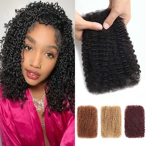 12 Inch 50g Afro Kinkys Bulk Human Hair for Mini Twist Braiding Micro Locs Afro Kinky-Curly Human Hair Bulk for Twist Crochet Boho Braids Dreadlock Extensions 1B Natural Black Soft Fluffy Easy to DIY