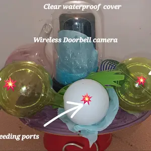 Hummingbird camera watching feeder