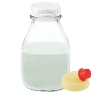 16 Oz Glass Milk Bottle With Lid And Pour Spout - Small Creamer Container For Refrigerator Airtight Pint Coffee  Tea Liquid Storage