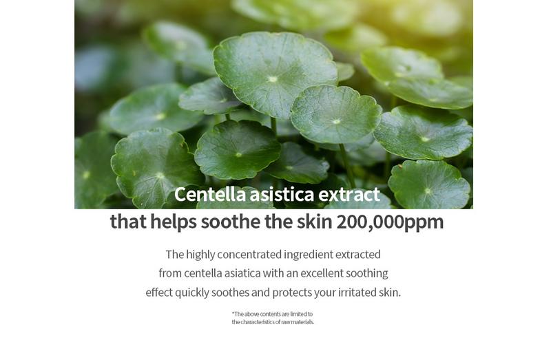 [mixsoon Official Shop] Centella Mask Pack 5EA - Korean Daily Hydrating Care Sheet Mask with Centella Asiatica Extract for Moisture and Soothing Skin