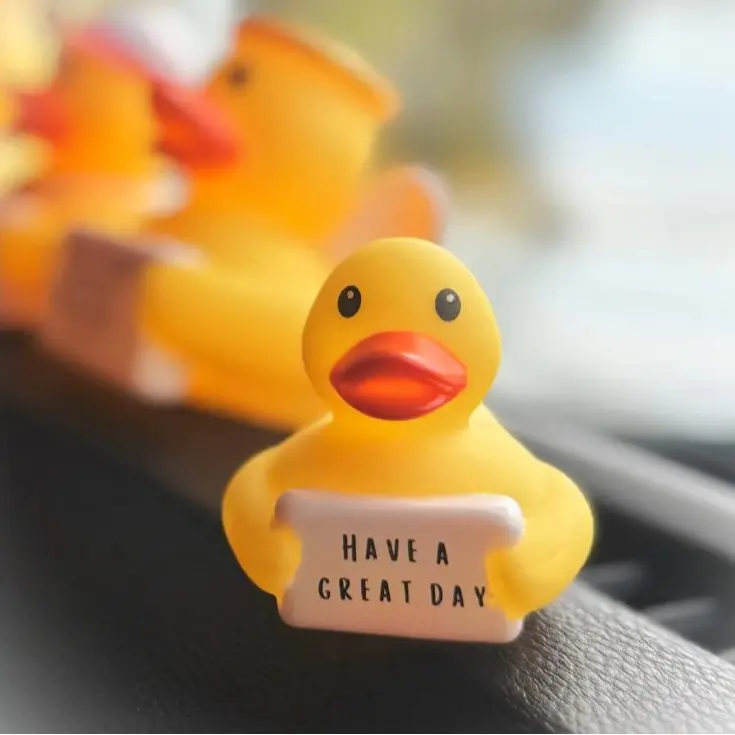 Rubber Ducks With Sayings - 1st Edition Series By InspirationCo - Quirky & Humorous Decor for Home Parties or Gifts - Unique Sayings for Whimsical Settings